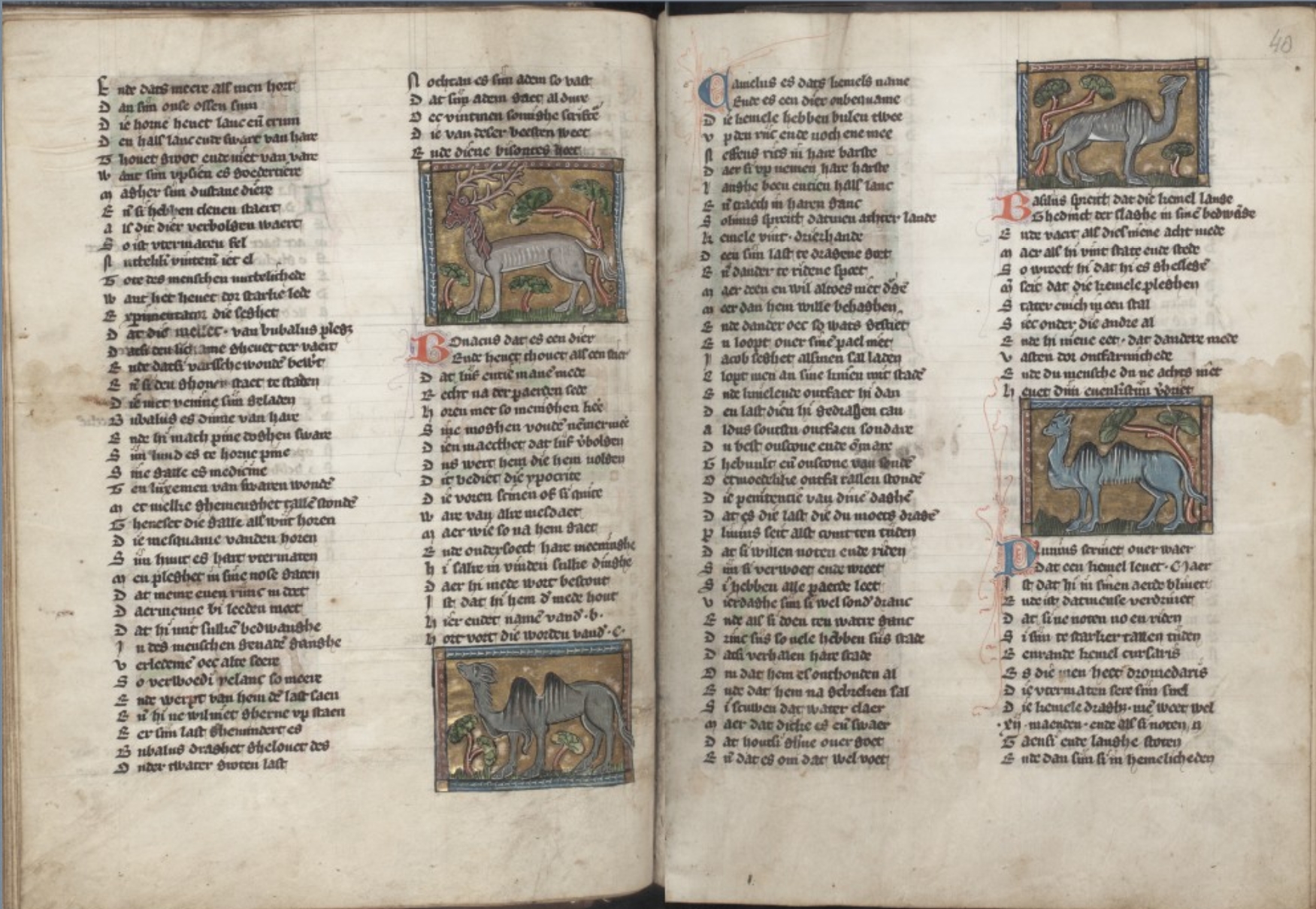 Sample page - Koninklijke Bibliotheek, KB, KA 16