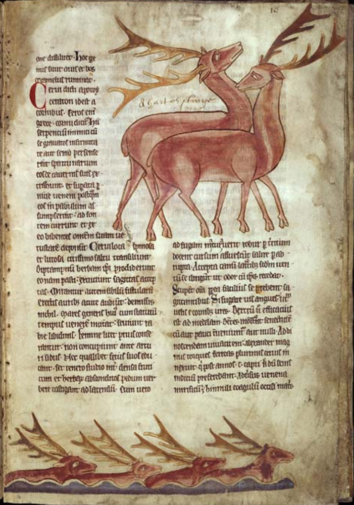 Sample page - Fitzwilliam Museum MS 254