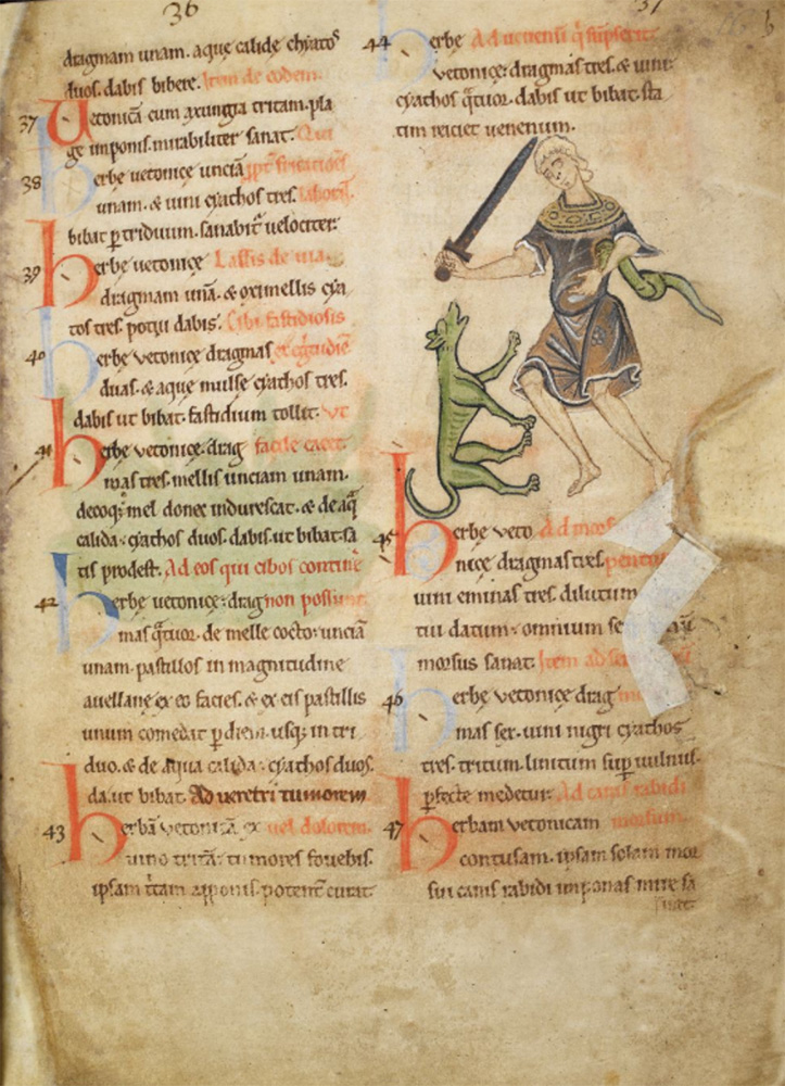 Sample page - British Library Harley MS 1585