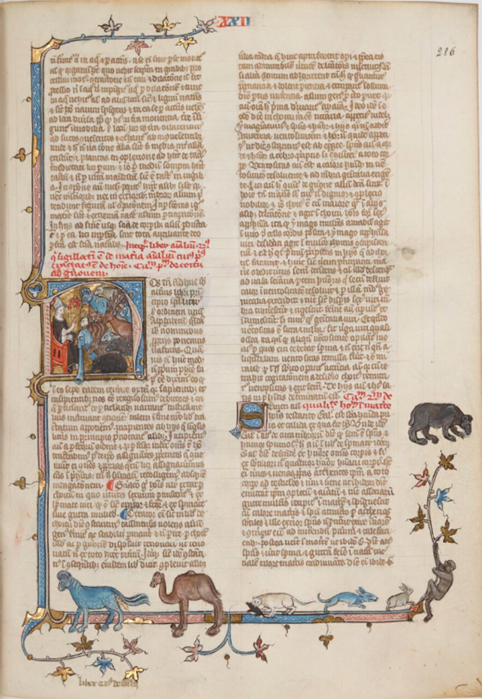 Sample page - Bibliothéque Nationale de France lat. 16169