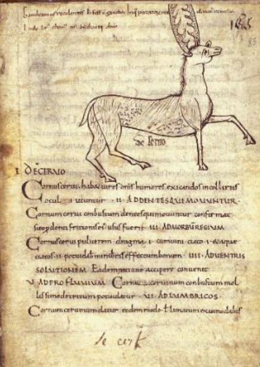 Sample page - Museum Meermanno, MMW, 10 D 7