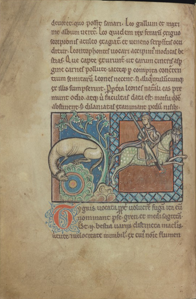 Sample page - Cambridge University Library Ii. 4. 26