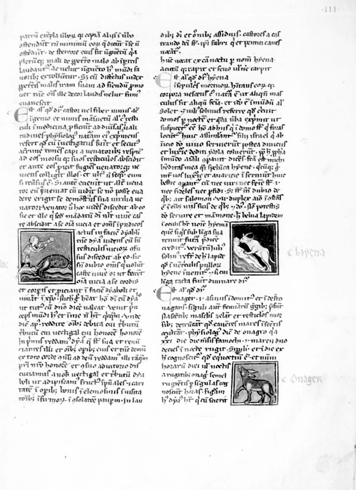 Sample page - Bibliothéque Nationale de France lat. 14429