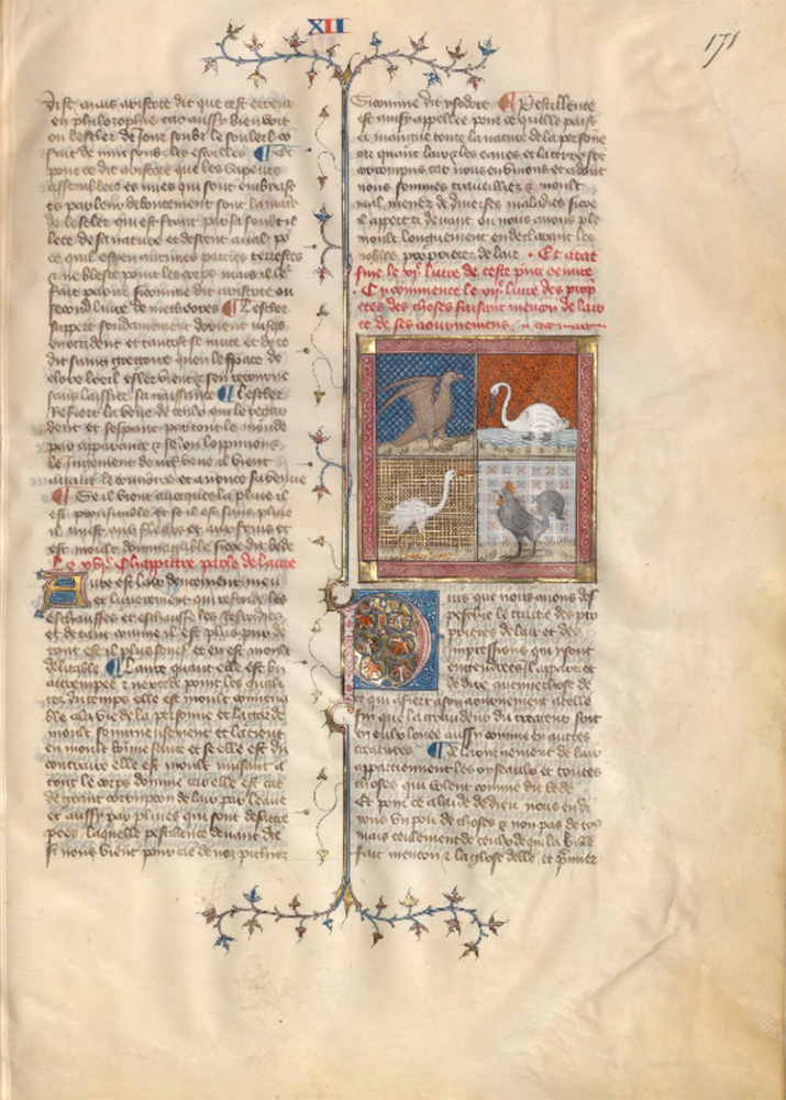 Sample page - Bibliothéque Nationale de France fr. 216