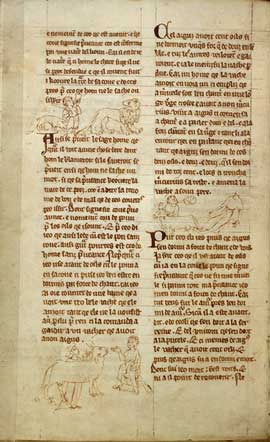 Sample page - British Library Harley MS 273