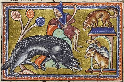 Wolf creeps up on sheep, shepard sleeping