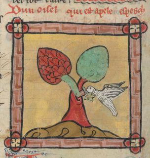 Woodpecker pulling spike from a tree