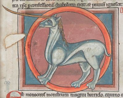 A white monocerus in a circular frame