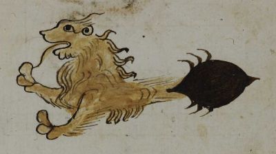 Lion front, bug tail