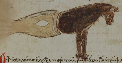 Horse front, fish tail