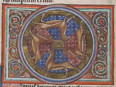 Four hares in a circle