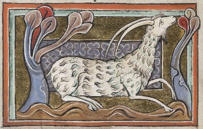 Goat with log, sharp horns