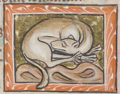 Do\rmouse sleeping through the winter