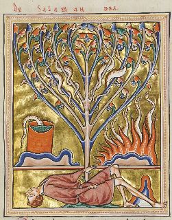 Salamander in fire, poisoning well, poisoning fruit