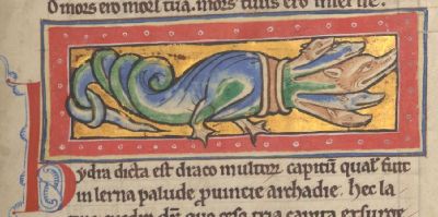 A multi-headed hydra