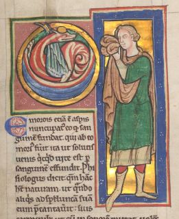 Man trying to steal carbuncle from the head of an asp