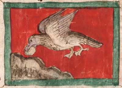 Jackdaw hiding a silver ball