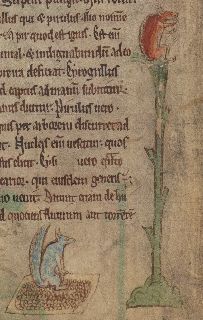 Red squirrel in a tree, gray squirrel with nuts