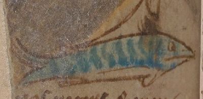 Fish called melanurus