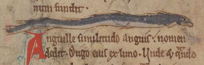 A serpent of the sea