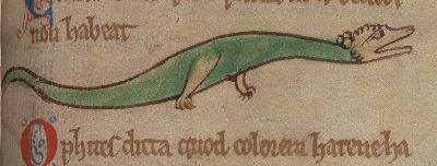 Serpent called ophites