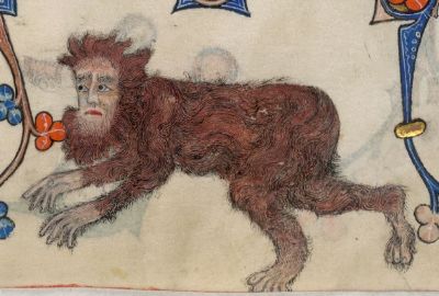 Harry wild man running on all fours