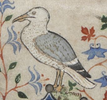 Gull perched on a decoratve border