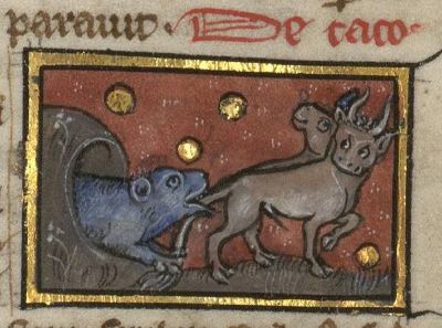 Cacus as an animal dragging cattle by their tails