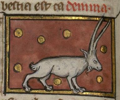 Goat-like animal with long horns