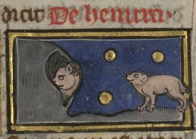 Hemtra guarding the food store