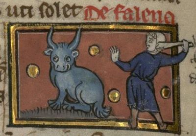 Bull-like falena with a proud man