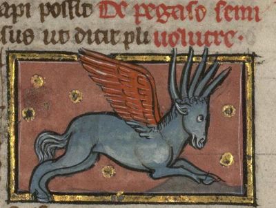Pegasus, winged horse with horns