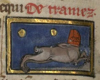 A rabbit-like animal with a helmet