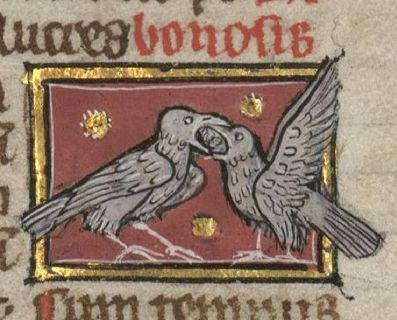 Two birds mating through the mouth
