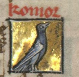 Komor as a generic grey bird