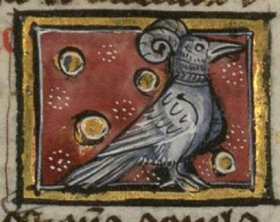 Trogopan with ram's horns on its head