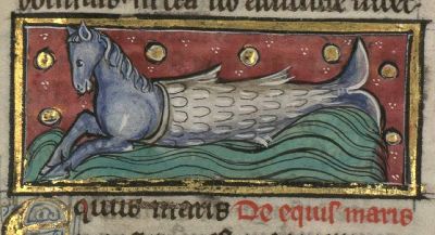 Sea-horse, half horse, half fish
