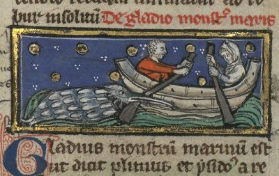 Swordfish attacking sailors in a boat