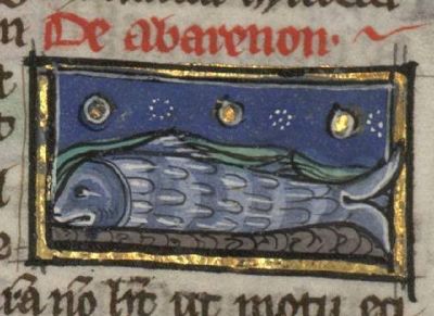 Aberenon rubbing it belly on sand