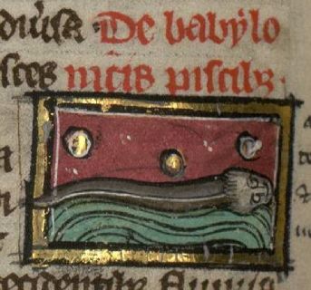 Babylonian Fish, looking like an eel