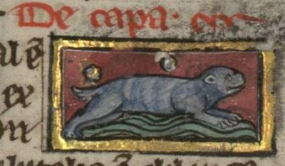 Capa as a four-footed mammal