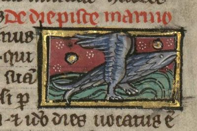 Day-fish with wings and two feet