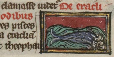 Eracloides fish digging into a river bank