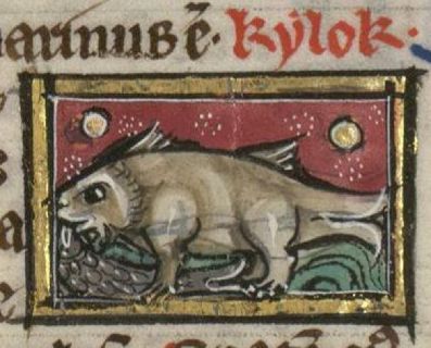Kylok as a four-footed fish eating another fish