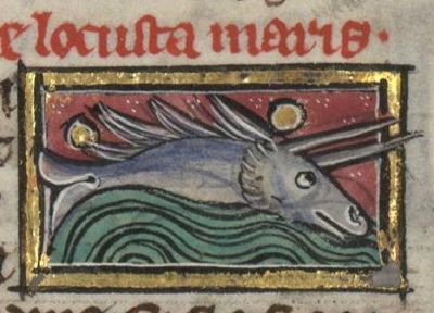 Lobster as a fish with horns