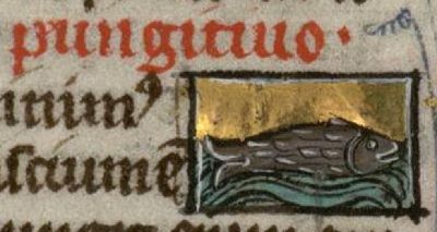 Pungitivus as a generic brown fish