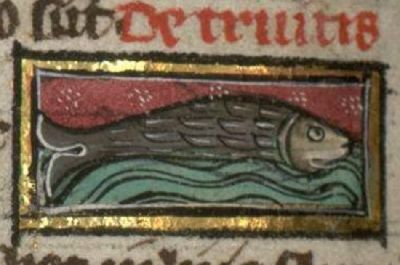 Trout as a generic fish