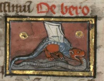 Berus serpent with wings attacks an eel