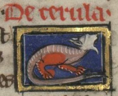Cecula, a serpent with no eyes