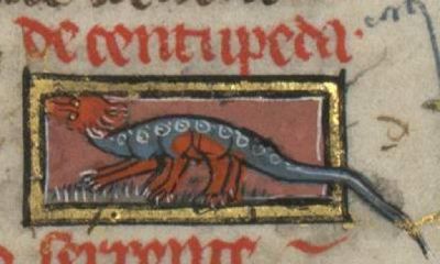 Centipede serpent with many feet